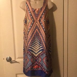 Bisou Bisou Multi-Colored Dress